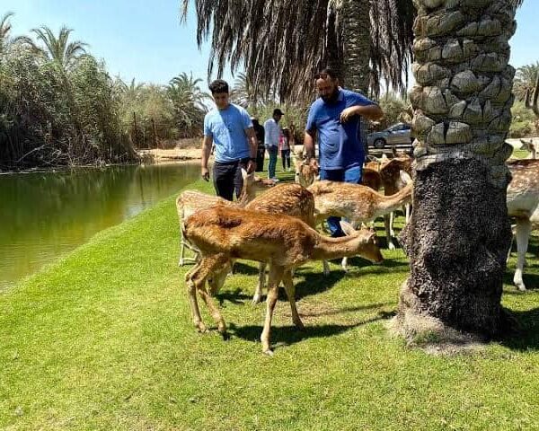 افريكانو سفاري بارك