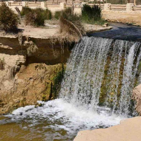 رحلة محمية وادي الريان وجبل المدورة