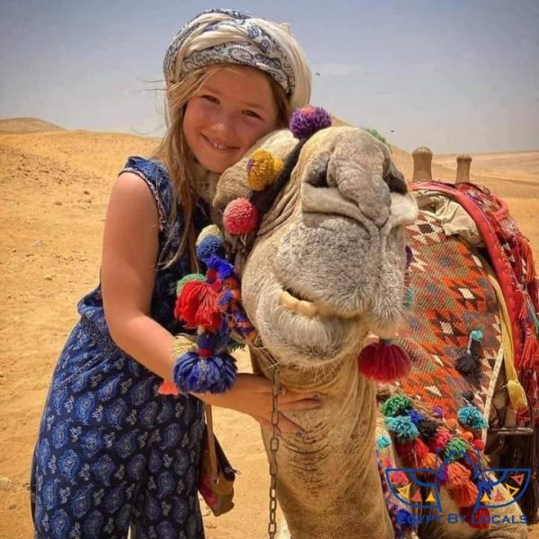 Camel in the Pyramids